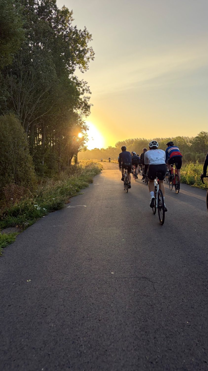 The group riding into a low sunrise on a tree-lined road
